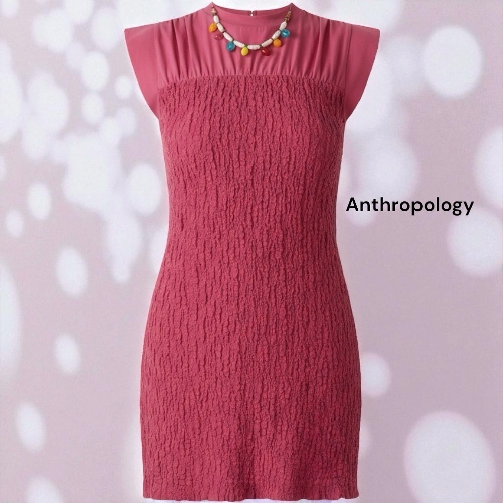 NWT Anthropologie Celandine Pink/Rose Chic Mini Dress Large